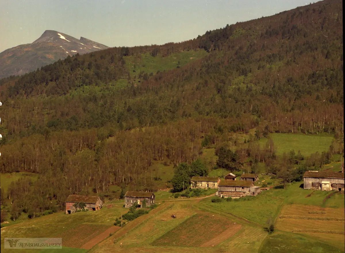 Meringdal, Jostein - Roaldsetli, Astrid