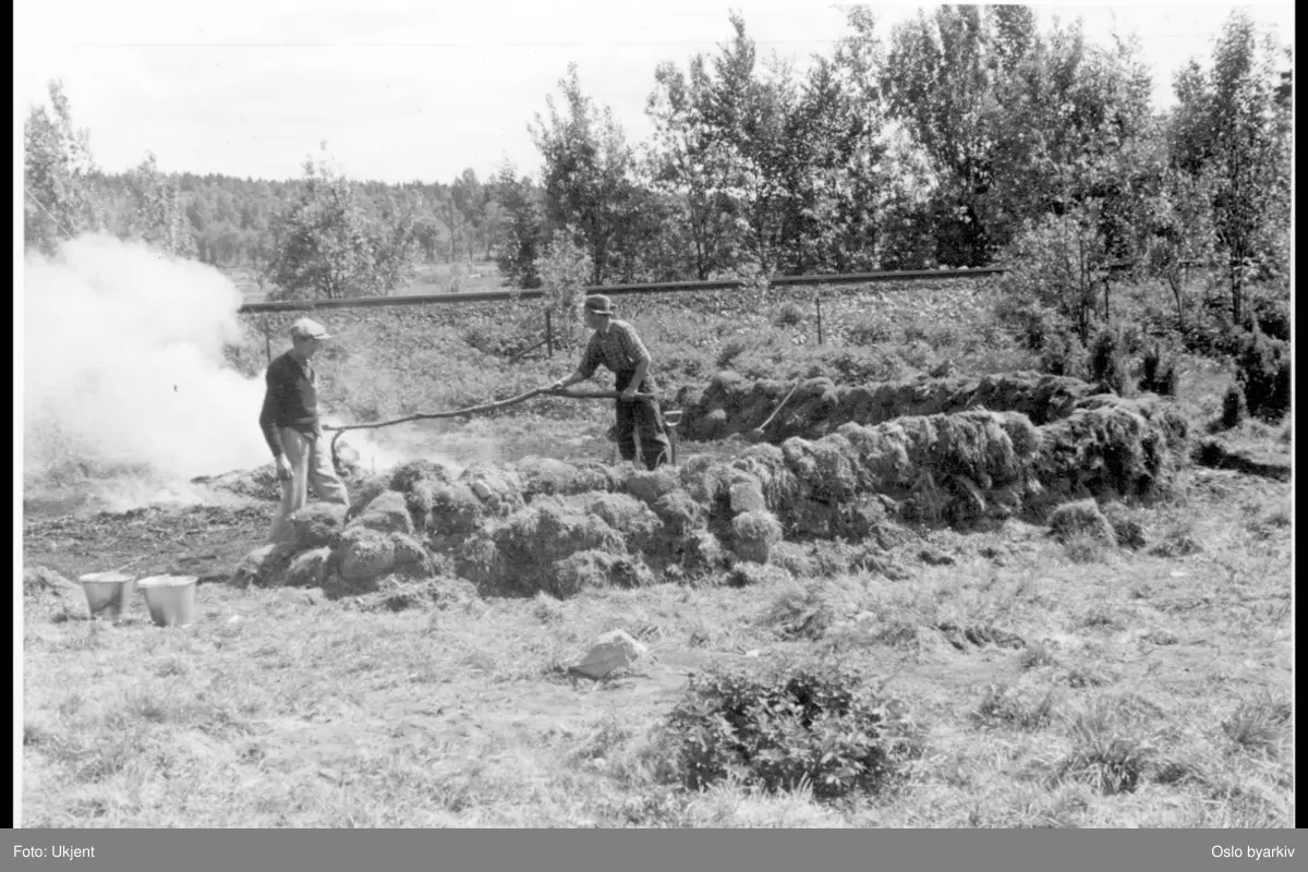 Brenning av ryddet / felt trevirke. Trikkelinje Simensbråten - Jomfrubråten.