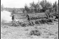 Brenneplass for kvist og kvas.