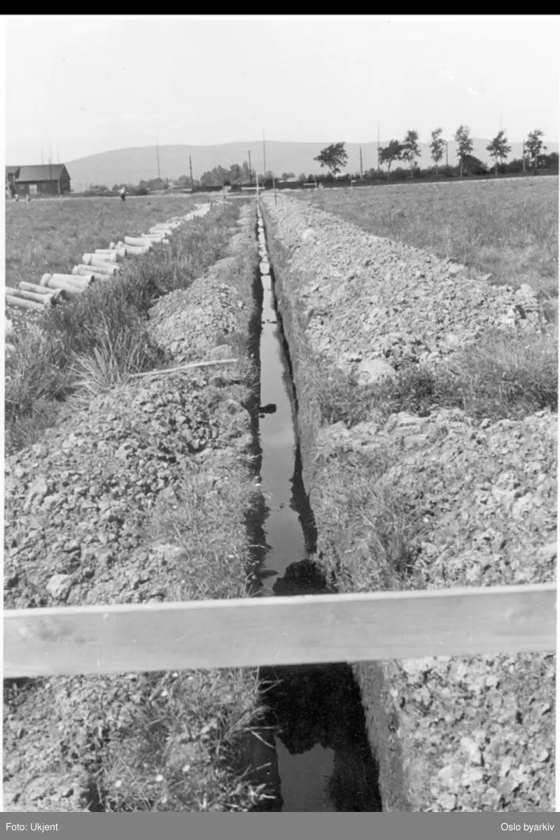 Dreneringsgrøft / Hovedgrøft på sletta klar for rørlegging. Driftsbygningen på Smedstua gård i bakgrunnen.