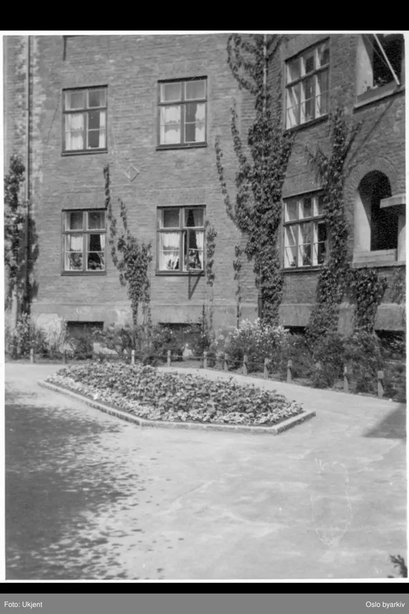 Husfasade i hjørne på plassen. Villvin og blomsterbed.