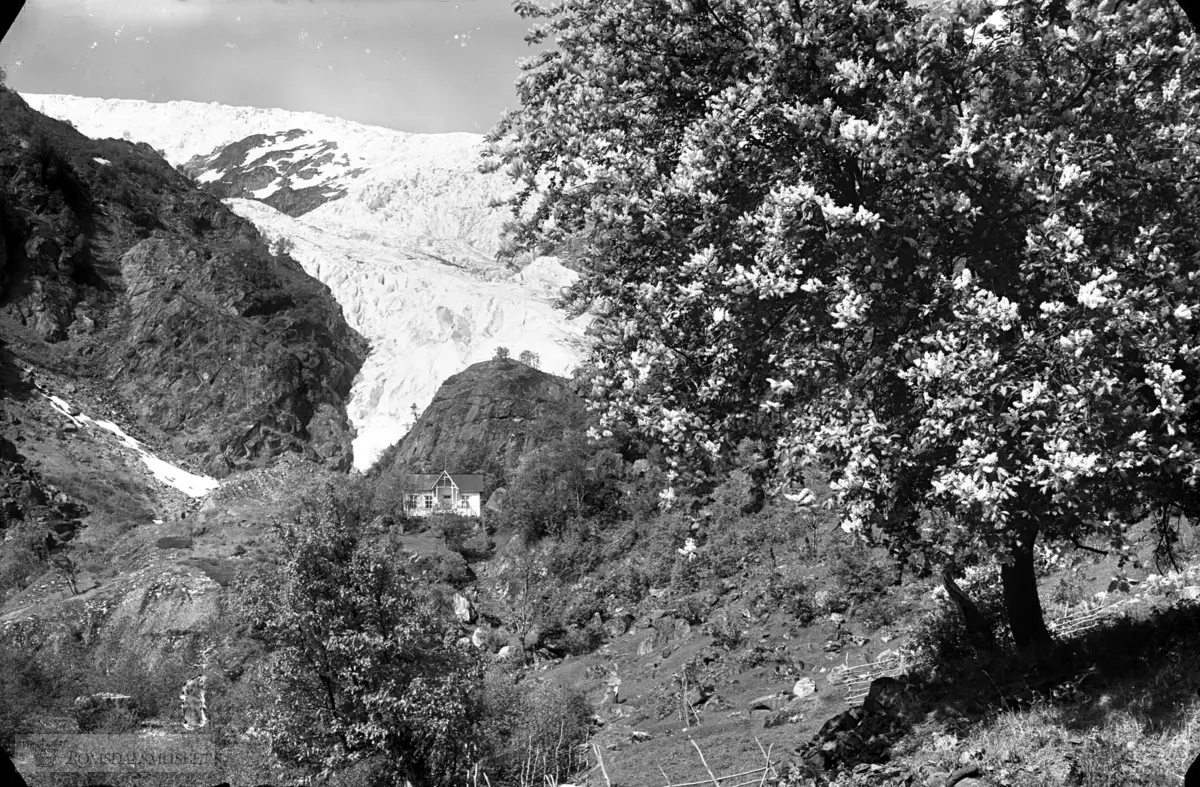 Buarbreen med stor hegg til høyre..Buerbreene, det vil si Øvre Buerbreen og Nedre Buerbreen, er to brearmer av Folgefonna. Disse ligger i Odda kommune i Hordaland. Buerbreene strekker seg østover fra Folgefonna og ned mot Buerdalen. Buerelvi fører smeltevannet fra Buarbreene gjennom Buerdalen til Sandvinvatnet. Buerbreen hadde framstøt rundt 1930, men trakk seg deretter tilbake. Breen hadde et framstøt på 1990-tallet, men har trukket seg tilbake igjen siden 1997. Årlig frontposisjonendring måles av NVE.