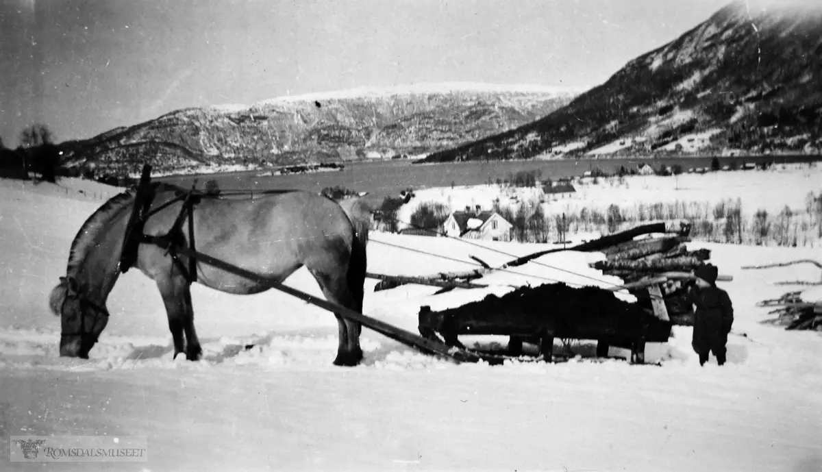 Hest og møkkaslede