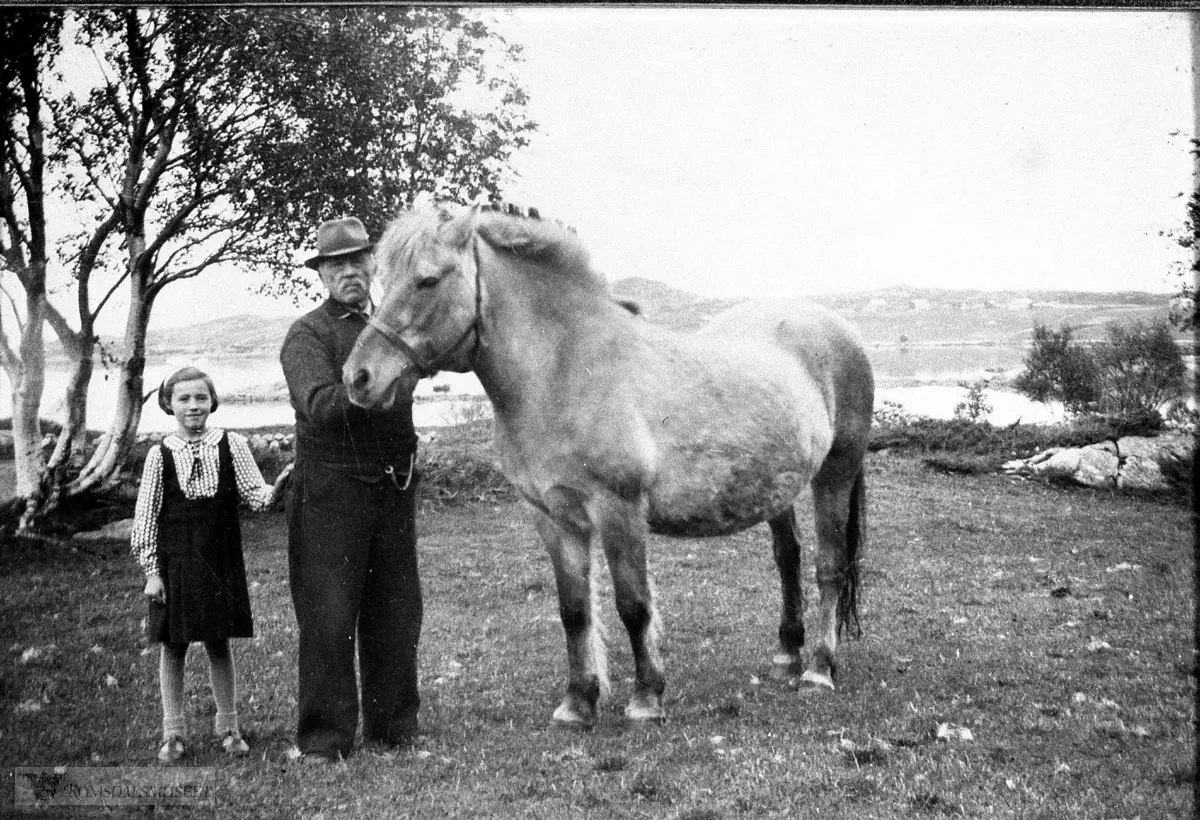 Knut var fødd i 1874..Hoppa heiter Luffa