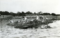 Paradisbukta. Badestrand på Bygdøys vestside. Utfartsted for