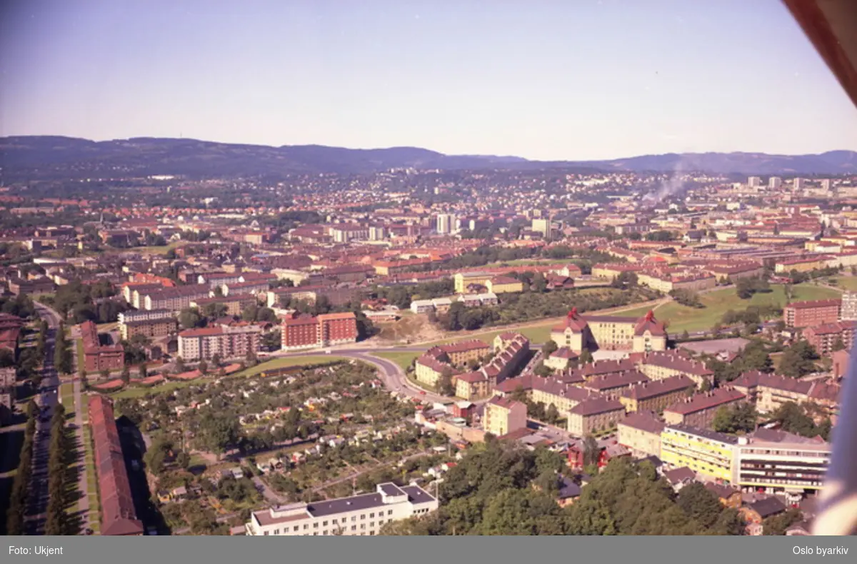 Rodeløkka kolonihager. Chr. Michelsens gate krysser Fagerheimgata til venstre. Rosenhoffgata til høyre for kolonihagen. Torshov i bakgrunnen. (Flyfoto)