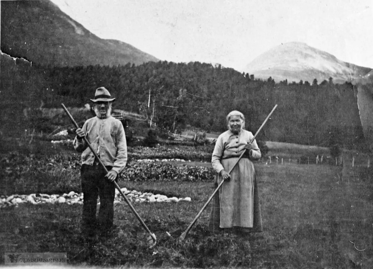 Slåttonn på Slenes Øvre i Eresfjord.