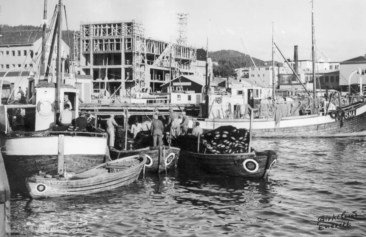 Fiskebåter på Molde havn.