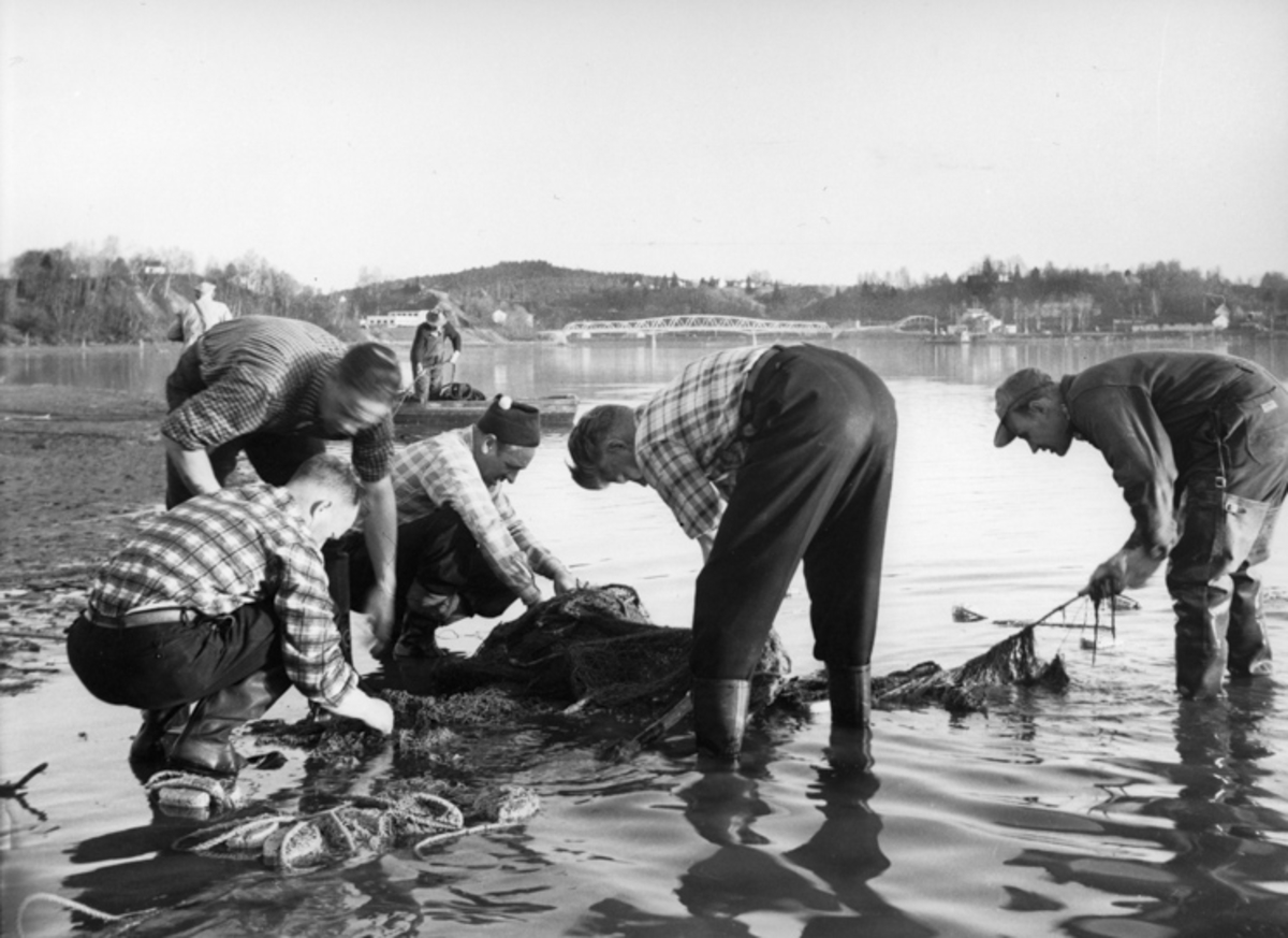 Fiske med garn i Vorma.