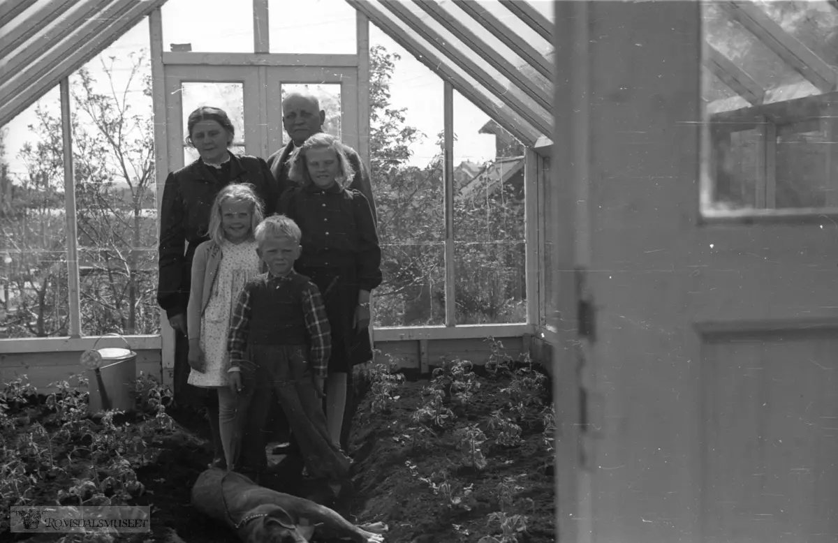 Nytt drivhus på Bergtun..(Filmbeholder datomerket Okt 1942)