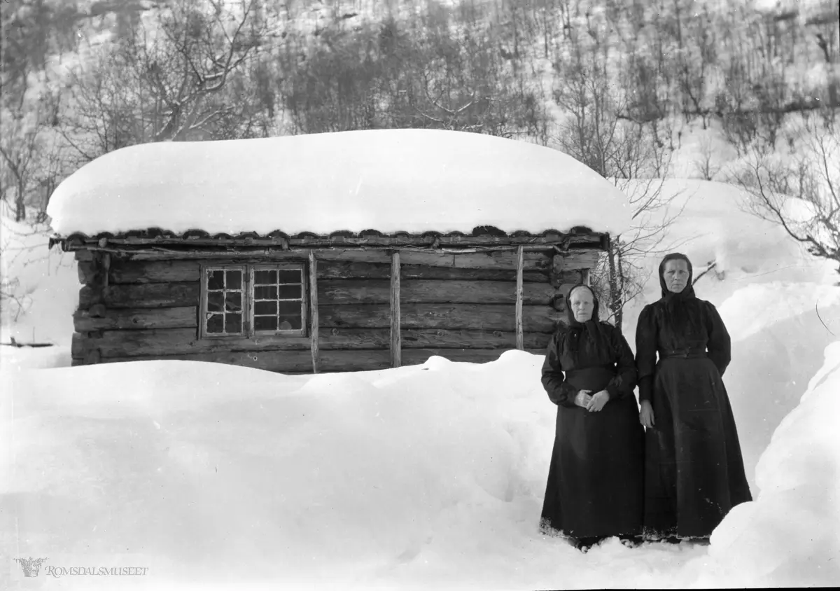 Hersel, Anne Tyrset og Anne Teigen .(Edvard var i Amerika fra april 1896 til desember 1910)