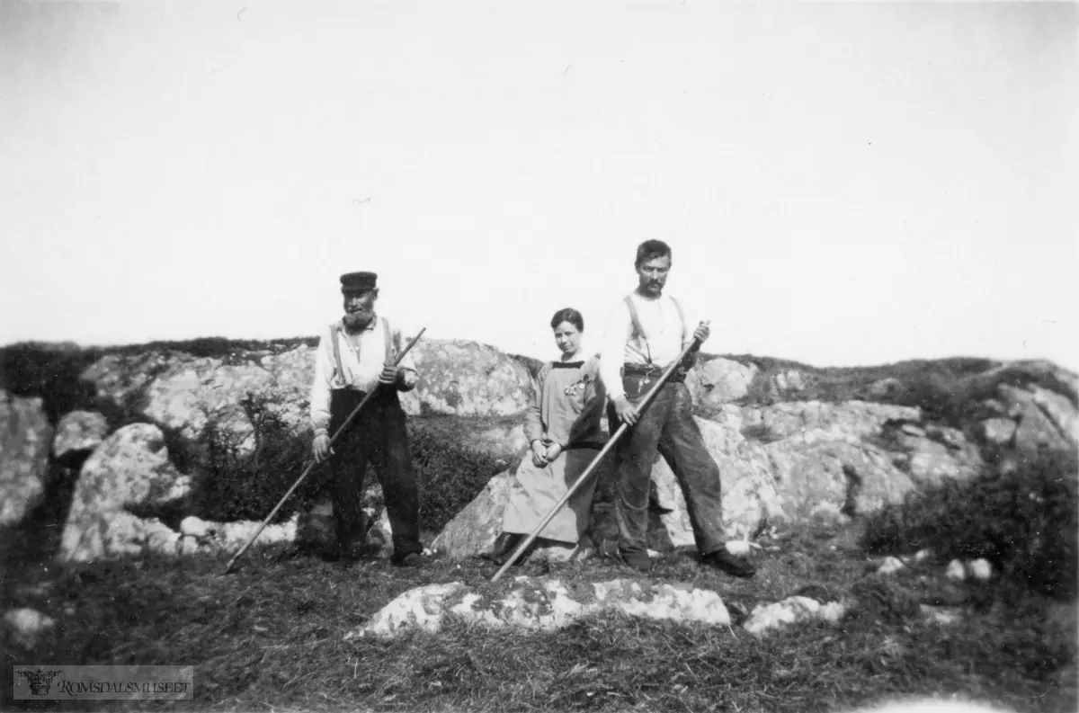 Høyonn på "fjellet" på Lyngvær omkring 1920.