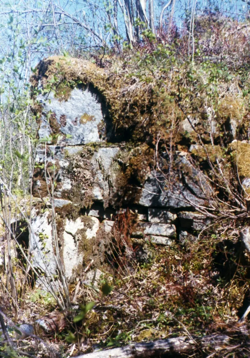 Masovnen i Osen. .(Esken er merket "Drågen Geitneset 1963, Bolsøya 1964, Hustad 1964, Bud 1964")
