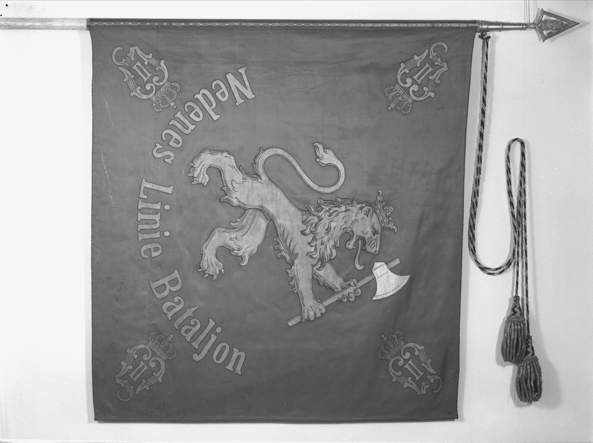 Kristiansandske infanteribrigade. O.II.
Nedenæs Linie Batailon.
Silkefane.Midt på Den norske løve. I hjørnene kronet OII monogram. Banderoler med kvaster. Spiss med kronet O II.