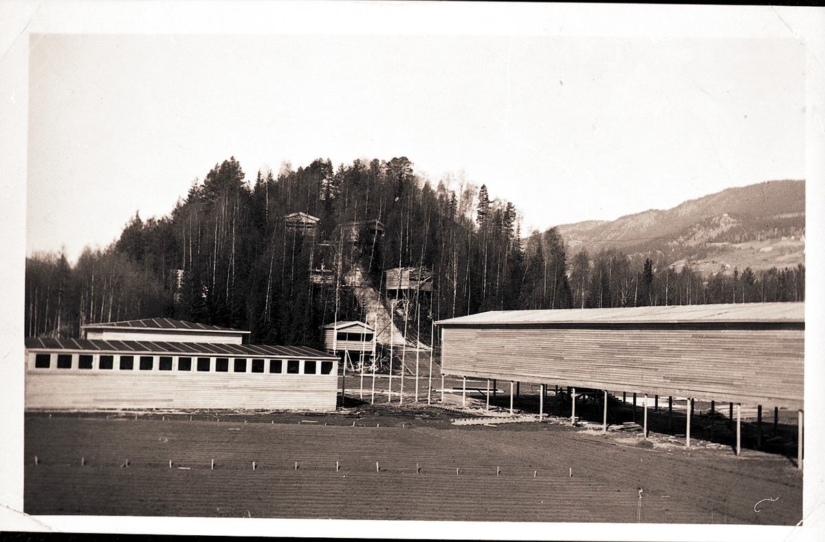 Hallingdal varemesse 1936. Vikojordet, Hahaug og bygningar.