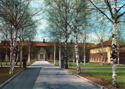 Høgskolen i Hedmark