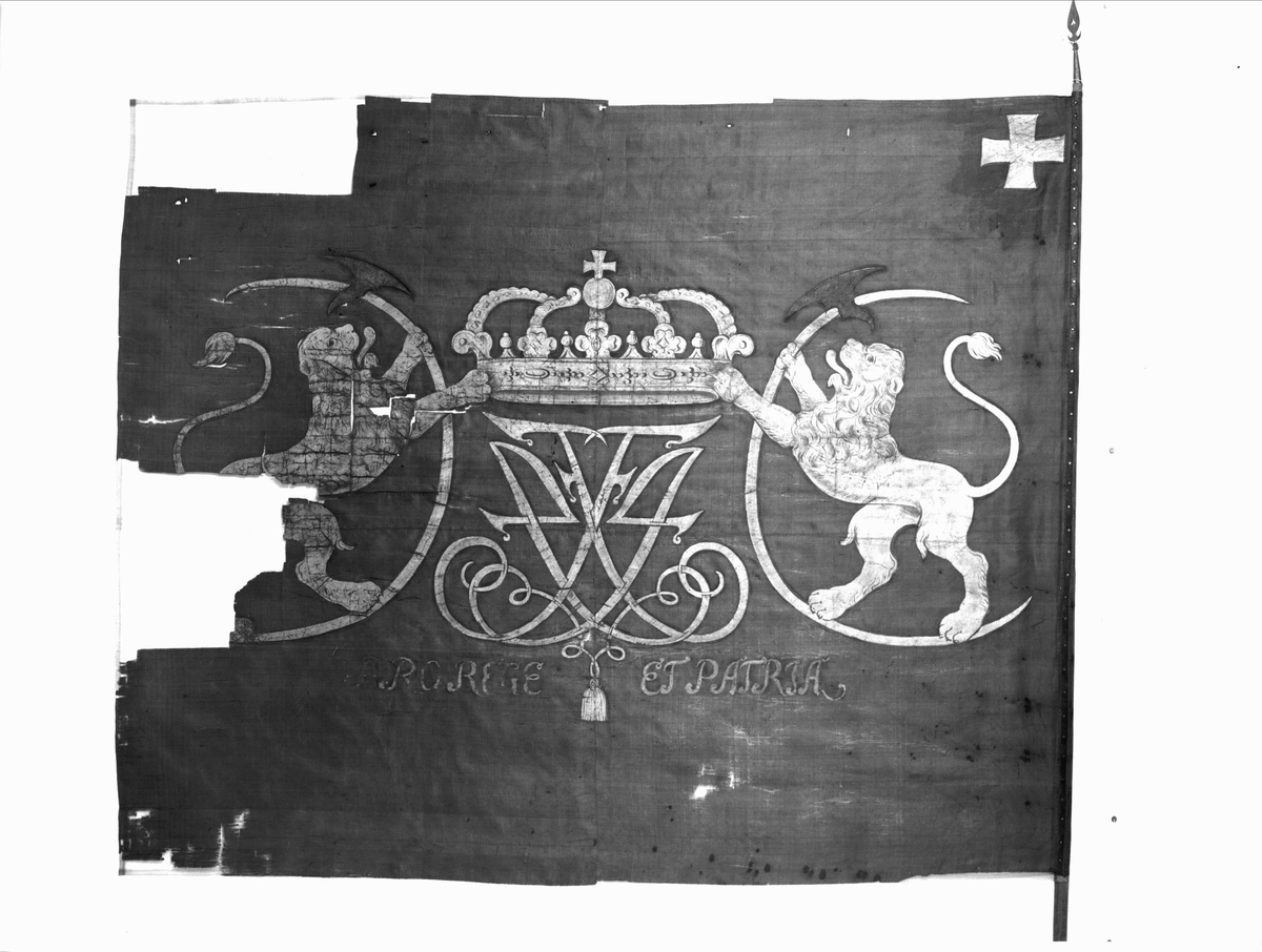 Rød silkefane, enkel duk. Kronet F IV i speilmonogram, med norske løve på hver side. Malt. Under: "PRO REGE ET PATRIA" . I øvre hjørne ved stangen Dannebrog. Vertikalt sammensyd etter midten. Lik på begge sider. Stang 290,5 cm, hellebard
lignende spyd 20 cm. 163 x 200 cm.