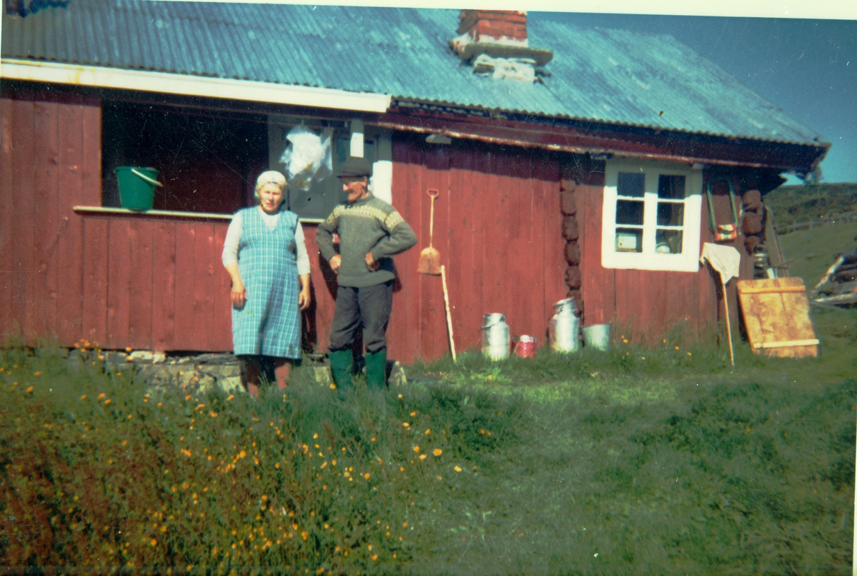 Ragnhild Hjallen Liahagen  og Ola Liahagen på Hovdestølen.