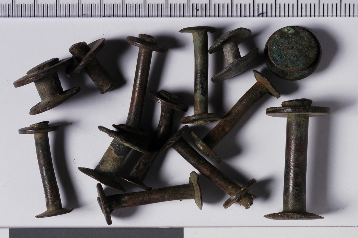 MALV: H. 10-27, STILKENS DIAM. 3-5 MM, HODET, ROEN OG STILKEN HAR SIRKULÆRT TVERRSNITT. HODET OG ROEN ER LIKE STORE. 