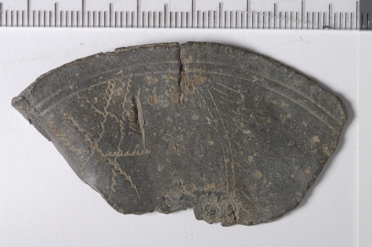 MALV: ST. L. 61 MM, PLATE, SIRKULÆR - 2 KONTURFØLG. LINJER. 
