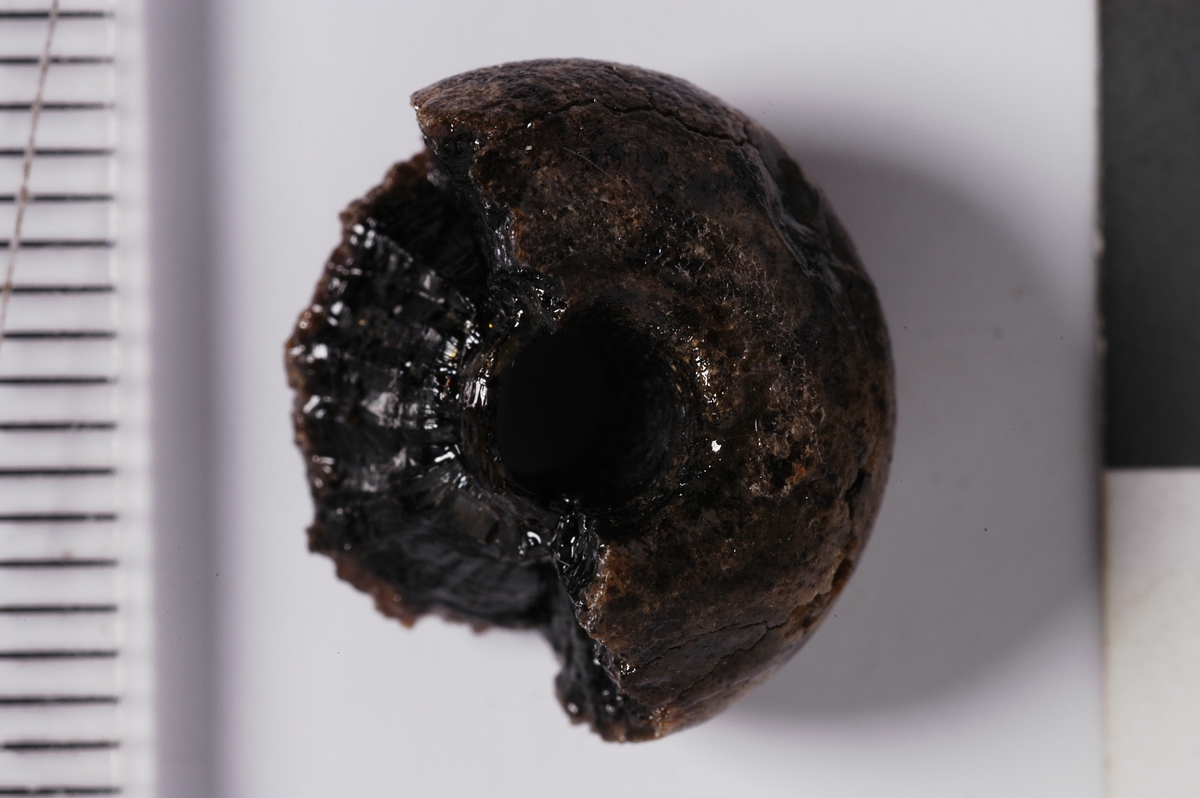 MÅL: DIAM. 14 MM  H. CA. 8 MM, RUND, FLATTRYKT MED HULL MIDT GJENNOM, DELVIS KNUST. SVÆRT SPRØ, DERFOR LAKKERT.