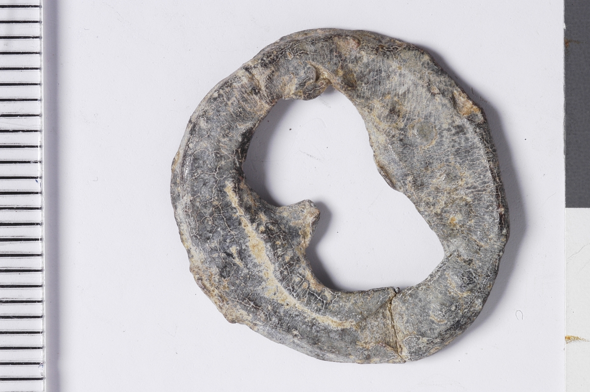 Del av vareplombe i form av en plakett med rest av streng. Gjenstanden har et hull i midten formet som et åttetall, noe som tilsier at vareplomben har hatt to nagler.  Det er tegn til preg samt en perlerad langs kanten av plaketten. Preget er utydet. 