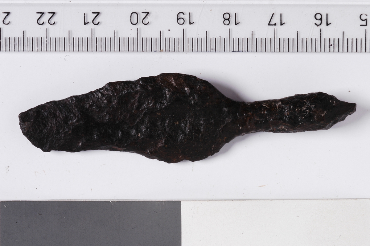 MALV: ST. L. 73, 2  B. 20 MM, FRAGMENTARISK - BREDBLADET - OG AVSATS MOT TANGEN. UTEN RYGGLINJE. 