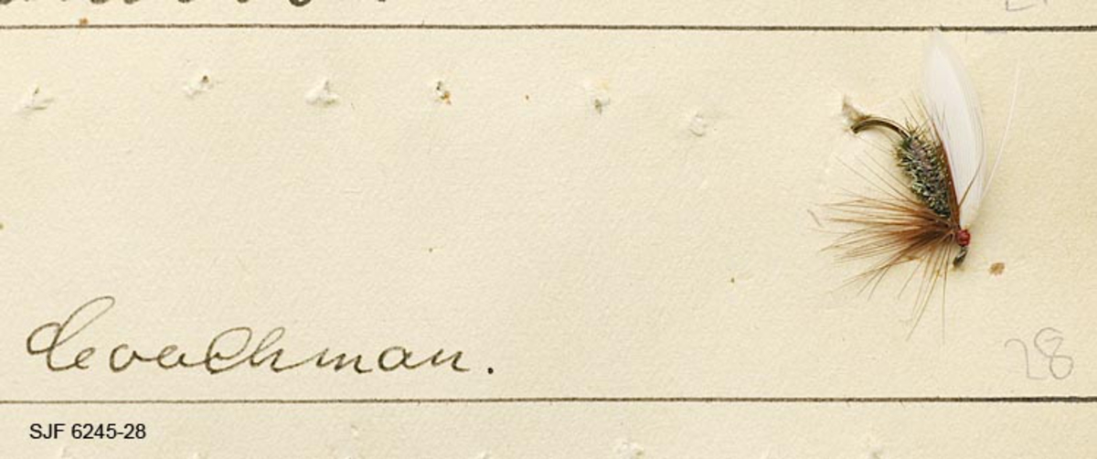 1 flue med øye. Tradisjonell våtflue med vinge av hvite seksjoner av vingefjær, gråbrunt hane fronthackle og kropp av påfuglherl. 