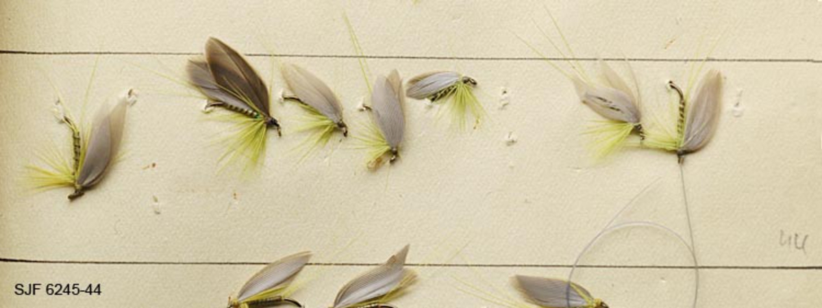 Gruppa består av sju tradisjonelle våtfluer, ei med gutfortom. Quillvinge av seksjoner av grå vingefjær fra ukjent fugleart. Gul-olivent fronthackle fra hane. Gulfarget quillkropp fra påfugl. Hale av gulfargede fibre fra hane. 