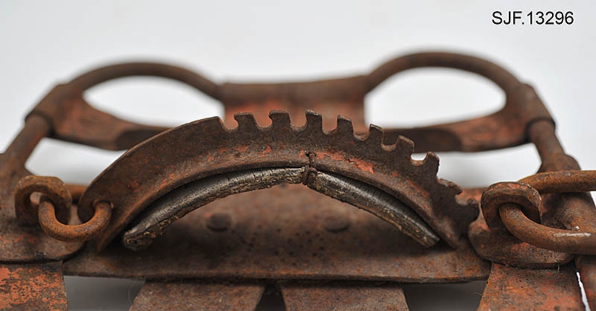 Trugesett for hest, altså fire stykker.  Trugene er lagd av jern.  Rammene er lagd av rør med cirka 1,1 centimeters diameter.  Disse rørene er bøyd i tilnærmet rektangulær form, men med noen avrundete hjørner.  Hver truge er om lag 30 centimeter lang og 24,5 centimeter bred, og har dermed ei bæreflate på drøyt 700 kvadratcentimeter.  Formen holdes stabil ved hjelp av jernband som er bøyd rundt rammerørene og klinket sammen.  To slike band går på tvers av trugene (i bredderetningen) mens det i lengderetningen er lagt band i M- eller W-mønster (avhengig av hvilken veg trugene holdes, M hvis de betraktes skrått bakfra).  De bakerste tverrbandene har kanter som er bøyd oppover, antakelig for å kunne tjene som anlegg for hakene på skogshestens vintersko.  Gjennom de brede tverrbandene noe lengre fram på trugene er det ført jernører med gjennombrutte hull for hengslingslekker for bøyler som ble lagt over hornveggene på hestens framføtter. Den ene bøylehalvdelen har T-formet tverrsnitt med hakk i overkant og lærfôringer på undersida (festet med ståltråd). Ei truge mangler slik fôring, de andre er stive og sprø etter mange års tørk uten tilførsel av nye fettstoffer. Den andre halvdelen av bøylemekanismen består av en lang, buet kjettinglekk med ei dreibar klype med ei gjennomgående nagle like bak hengslingspunktet. Denne nagla føres ned i ett av hakkene på ryggen av den andre bøylehalvdelen, hvoretter endeleddet presses ned. Dermed låses truga godt til foten på hesten. Under tverrbandene bøylene er festet i er det montert jernstag med T-formet tverrsnitt på tvers av trugenes lengderetning. Disse komponentene skulle antakelig redusere faren for at trugene skled på vinterføre. De nevnte tverrstagene er for øvrig festet med kvadratiske muttere på endetappene av «jernørene» som bøylene på oversida av trugene er hengslet til.  På jernet kan vi se spor av oransje lakk, men fargestoffet er i ferd med å bli fortrengt av gravrust. Trugetypen later til å være en serieprodusert artikkel. De brede tverrbandene på to av trugene er merket «ØR» i prikket utførelse. Trugesettet ble levert til museet sammenbuntet med en ståltråd, antakelig slik de har vært oppbevart siden sist de var i bruk.  Ifølge siste eier, Magne Ottershagen fra Styggberget i Elverum, skal dette ha vært vinteren 1953-54.

I Sverige kalles denne trugetypen «norsktrampa», hvilket vel indikerer at det må ha vært en norsk produsent som har eksportert slike truger til nabolandet.