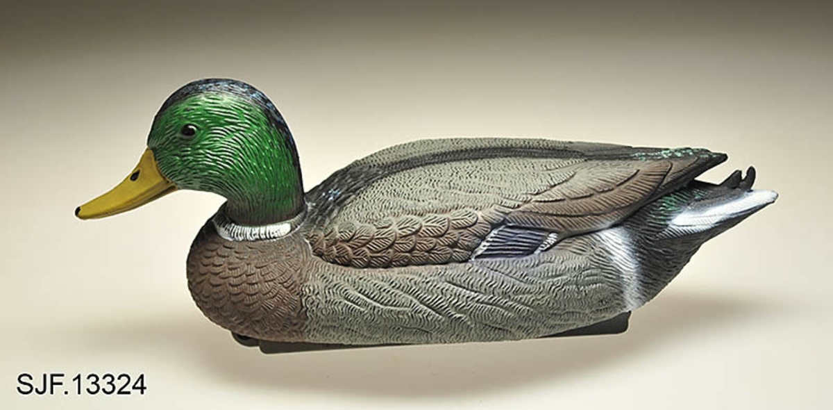 Bulvan, kunstig fugl satt opp for å lokke fugl til stedet der jegeren venter i bakhold. Oftest brukt om kunstige rovfugler som utløser aggressivitet hos den arten man jakter på, av og til også om kunstige fugler som er ment å lokke til seg fugler av samme art. Her er det sistnevnte funksjon som er aktuell. 


Denne bulvanen av stokkand (hann) er støpt i plast, og den er påmalt stokkandhannens farger. På undersiden er bulvanen utstyrt med en kjøl med hull i. Ved å feste ei snor til denne kjølen kan bulvanen fortøyes i land.  Bulvanen er kjøpt inn til museet for å brukes i utstillingen Tråkk. 