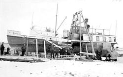 Hamar, Sterudodden, Høiensalodden, Hamarslippen, bedding for