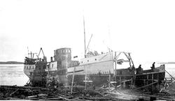 Hamar, Sterudodden, Høiensalodden, Hamarslippen, bedding for