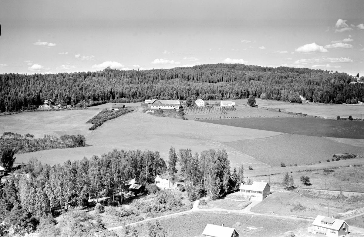 Hamar, flyfoto, Martodden, villaer i Håkon Håkonsons gate, Furuberget gård, Furubergjordet,