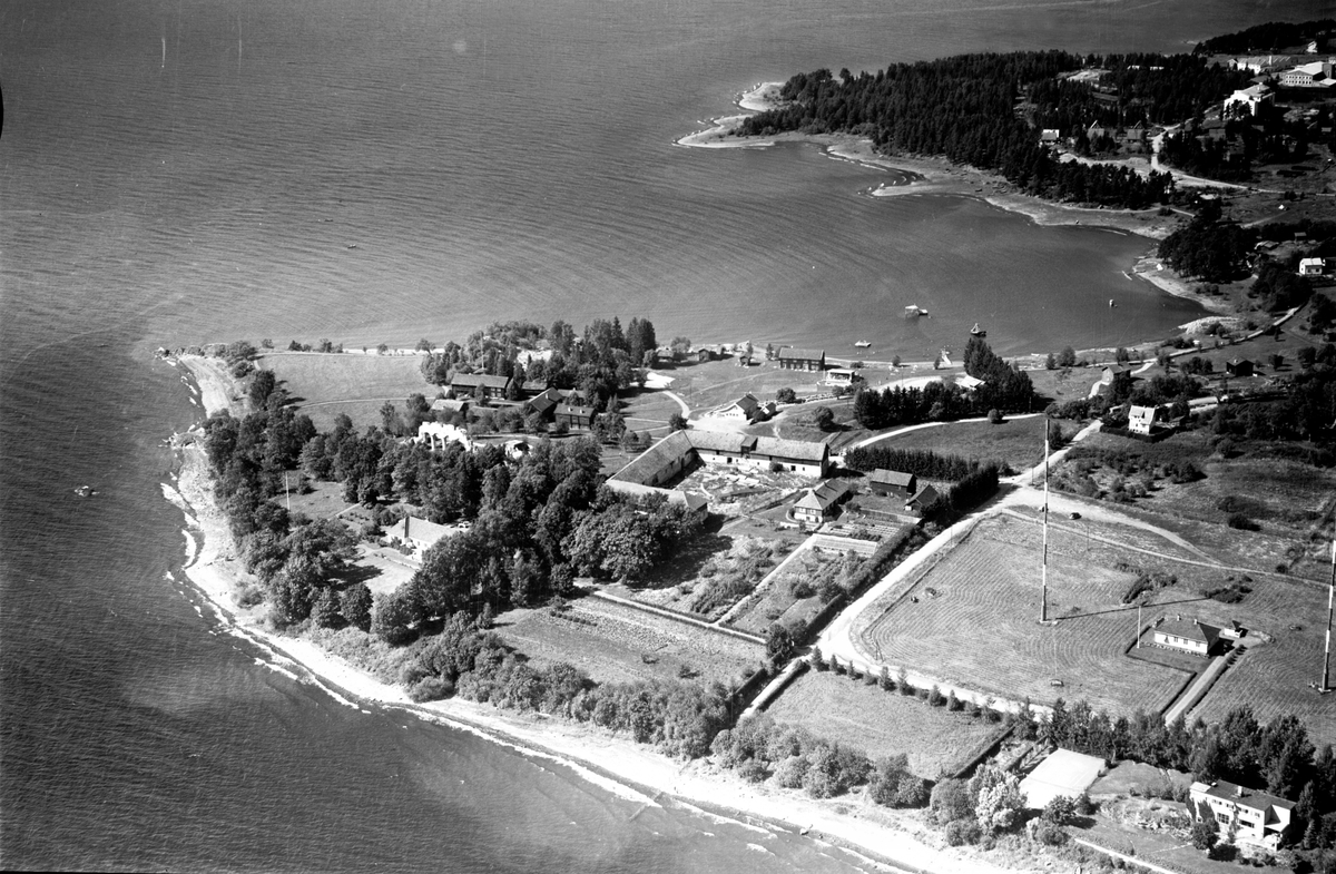 Hamar, flyfoto, Domkirkeruinen, Hedmarksmuseet og Domkirkeodden, Storhamar gård, Storhamarlåven, Hedmarkstunet, folkemuseum, Rosenlundvika, Geitryggen, Hamar Kringkaster med radiomaster,