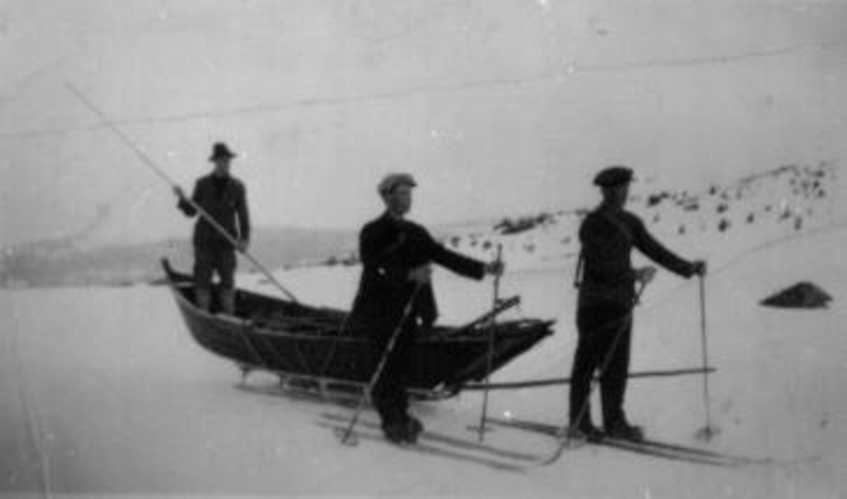 Flytting av Åfløy. Trekkes på kjelke av Johan Vange og Johan Austrud. Tor Solbakken med stake i Åfløya.