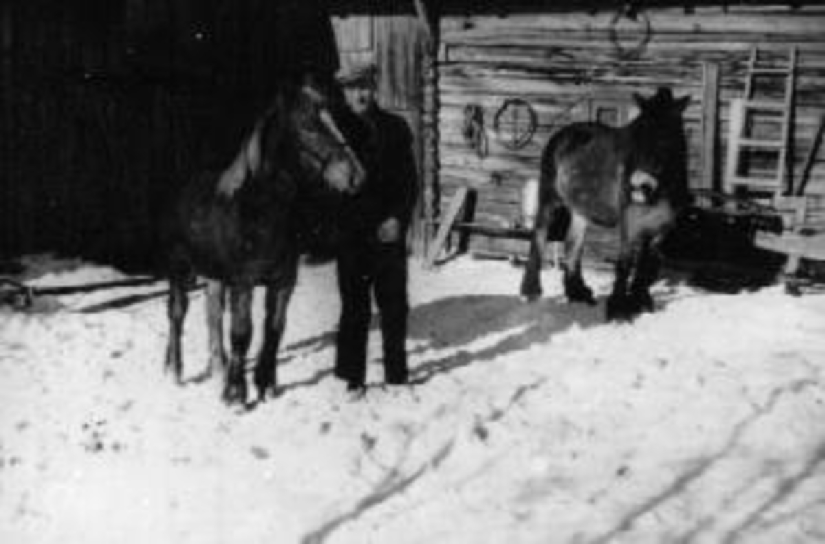Mann med to hester foran stallen på Tørudstad, Furnes, Ringsaker.