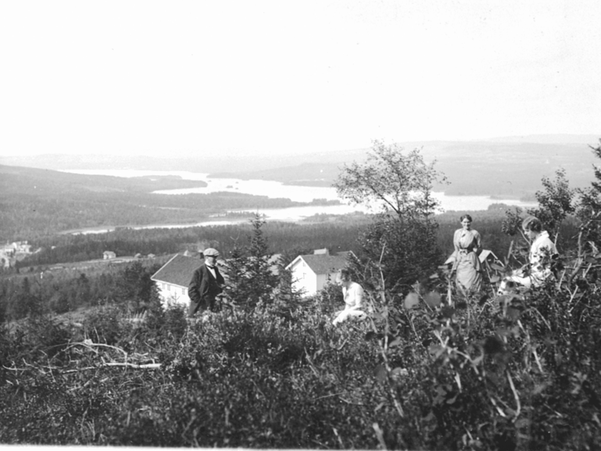 Utsikt fra Kvisla gård, Næroset, Ringsaker. Folk i forgrunnen.