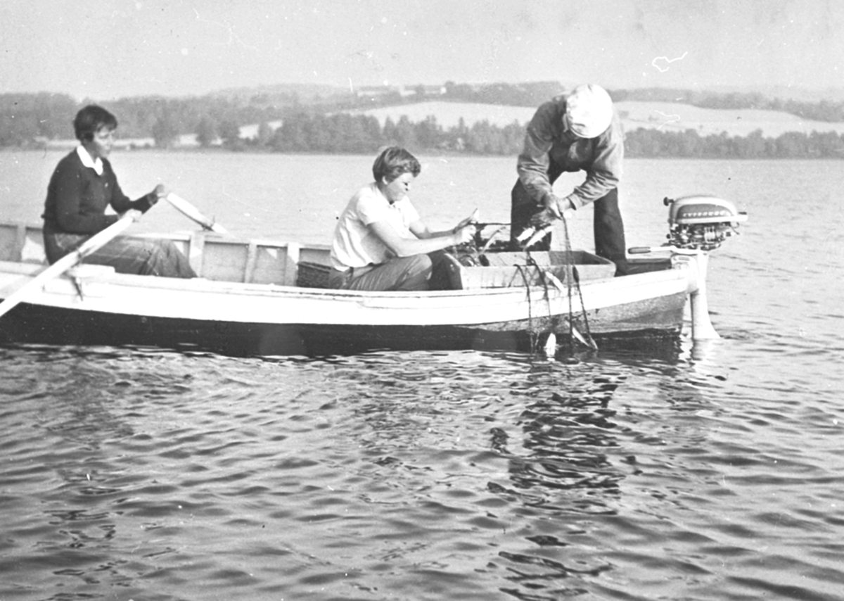 Garnfiske på Mjøsa utenfor Hovinsholm, Helgøya. Kitty Hoel ror mens Helge Henriksen drar garna. Ukjent jente i midten plukker sild. Helge Henriksen var fisker på Hovindsholm i mange år.