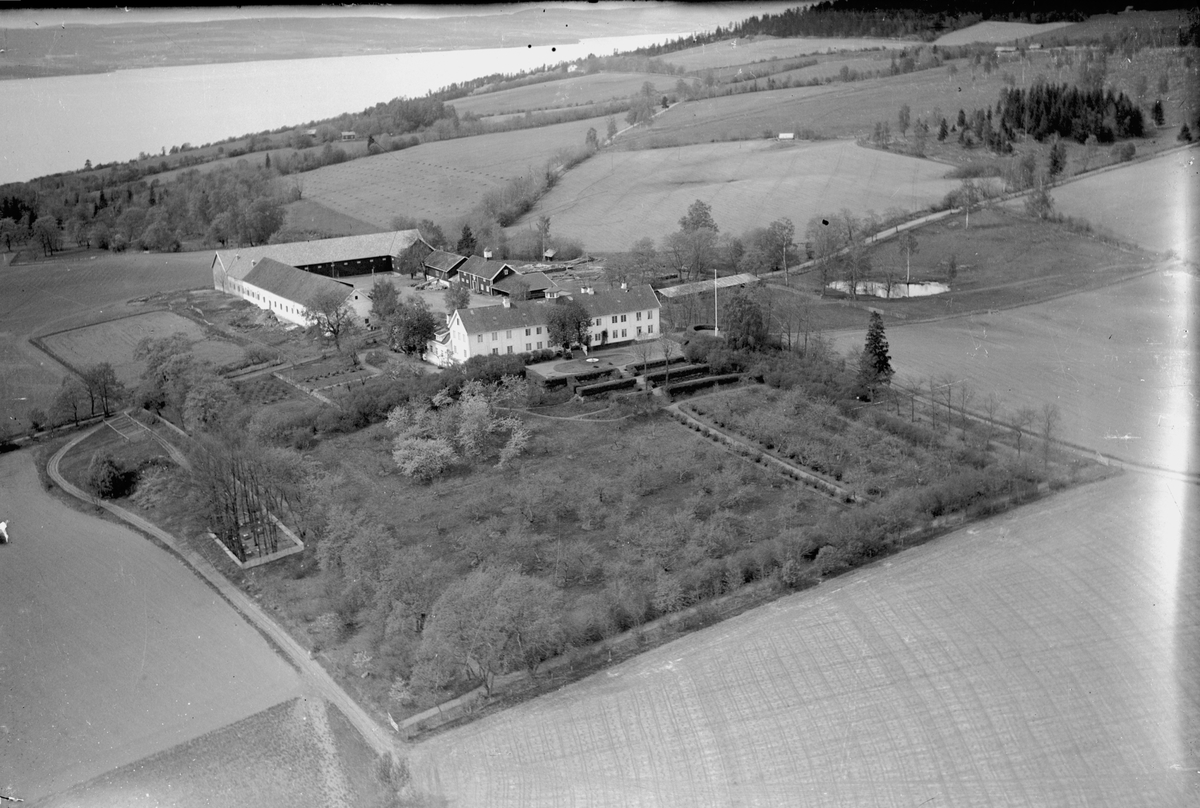 Flyfoto, Hovinsholm, Helgøya, hage, inngjerdet privat gravplass til venstre i hagen, hovedbygningen før brannen i 1937,