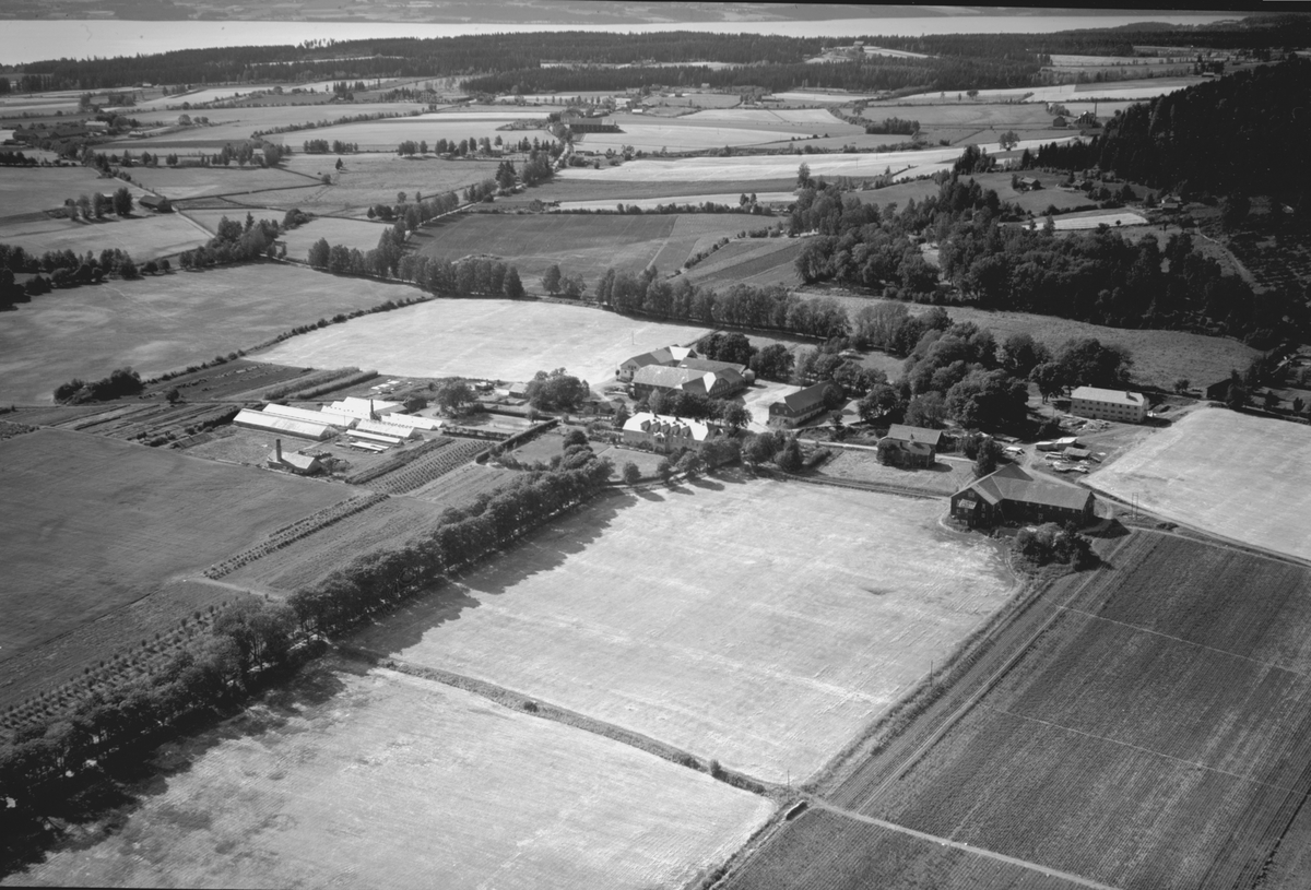 Flyfoto, gardsbruk, gartneri, Grefsheim, Nes, Hedmark.