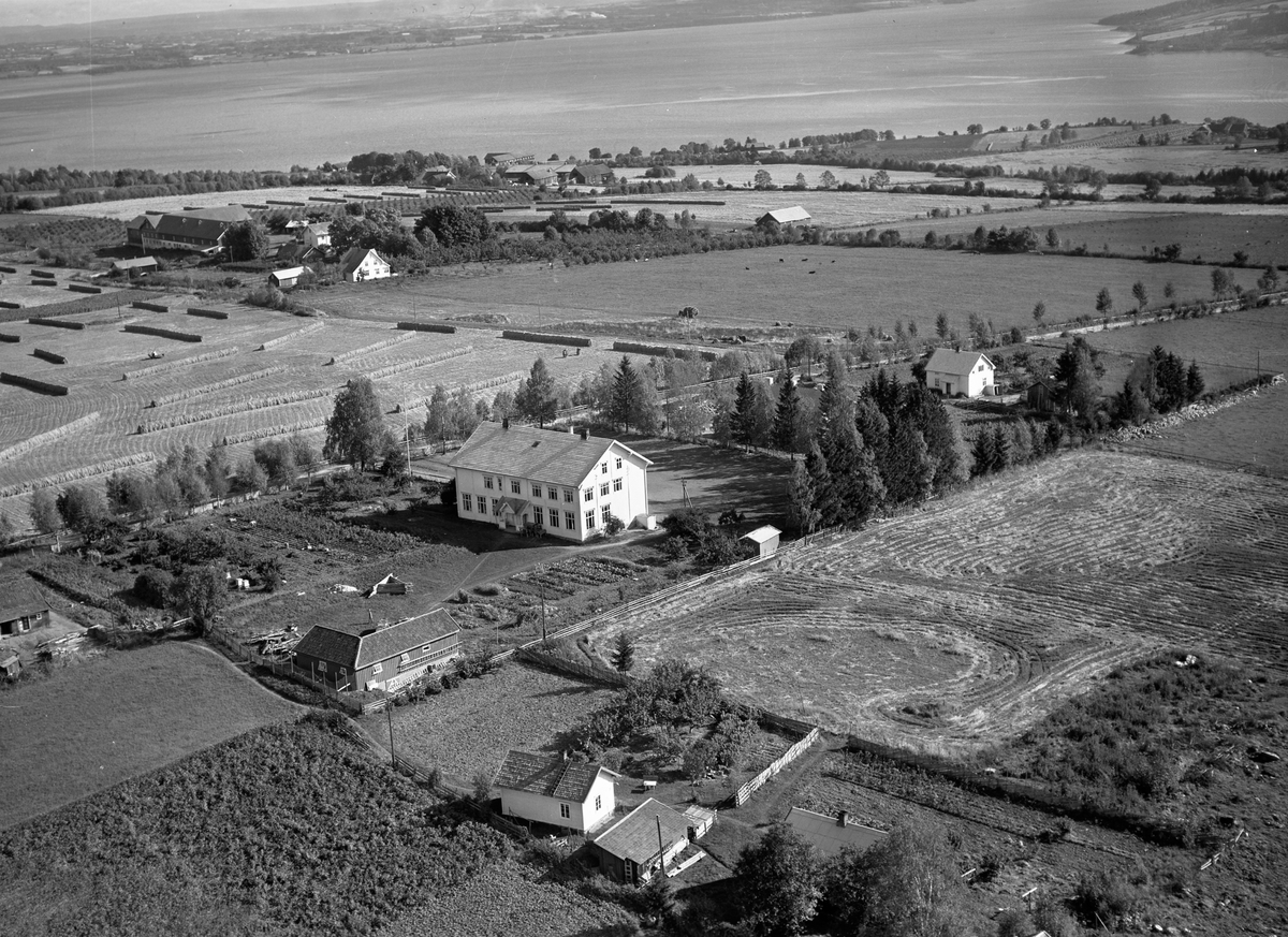 Flyfoto, skole, Årengen med skolehagen, landbruk, Mjøsa,, Nes, Hedmark. Balstad gård i bakgrunn.