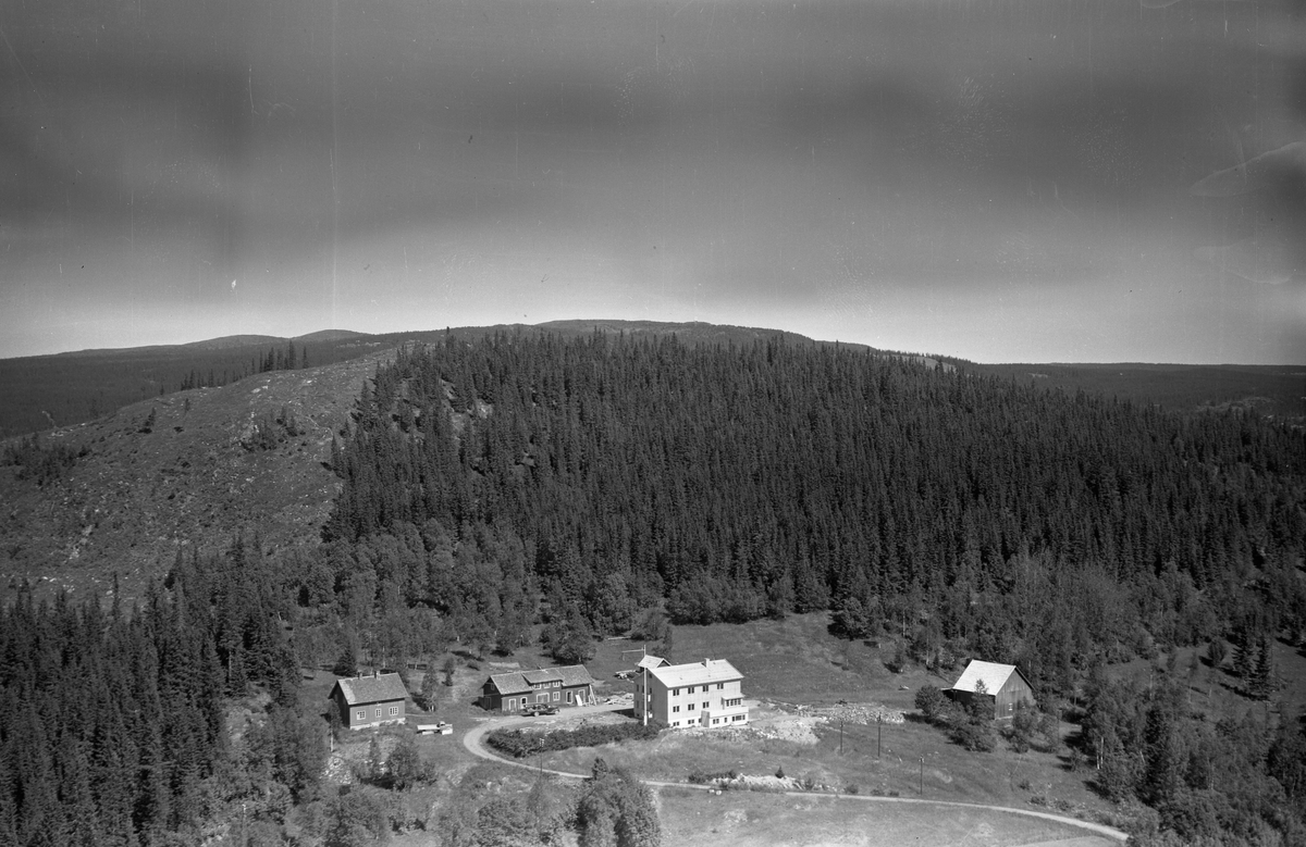 Flyfoto, Lismarka.. Eiendommen har hatt mange navn: Bådshaugen, Arneborg rekreasjonshjem, Dahlheim rekreasjonshjem og Tyrihaugen. Hovedbygnigen brant ned i 1952, nytt bygg i 1955 (så bildet er kanskje fra siste halvdel på 1950-tallet?) Kilde Brøttumsboken.