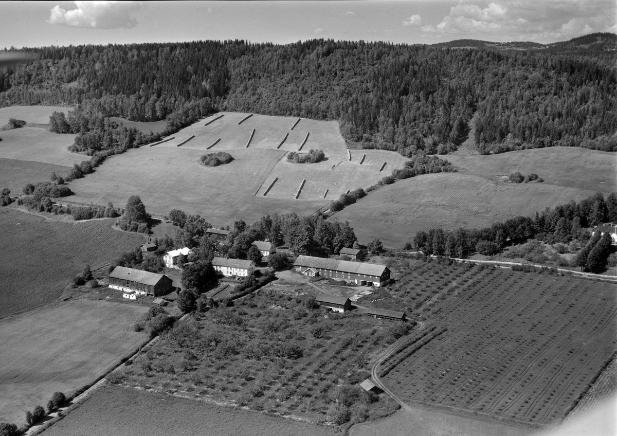 Flyfoto av Løken gard, Rudshøgda. Frukthage.