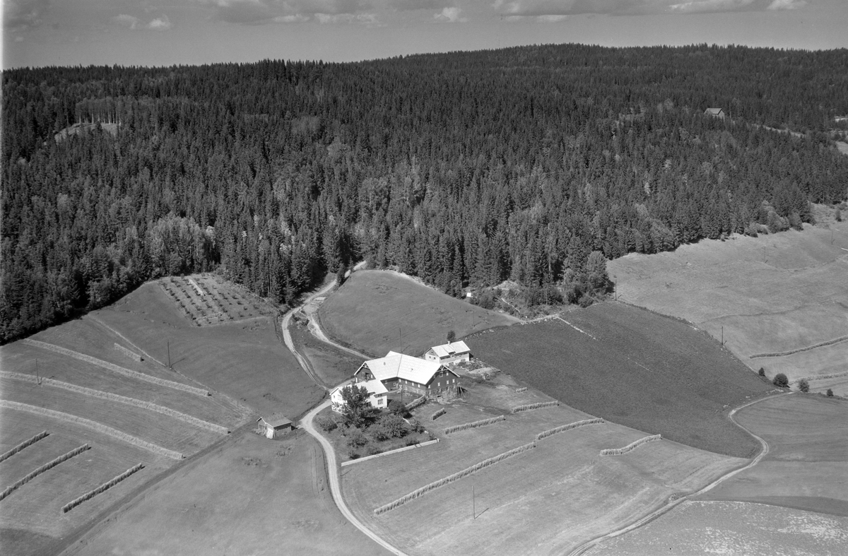 Flyfoto av Skjoldknapp, Stavsjø, Hedmark.