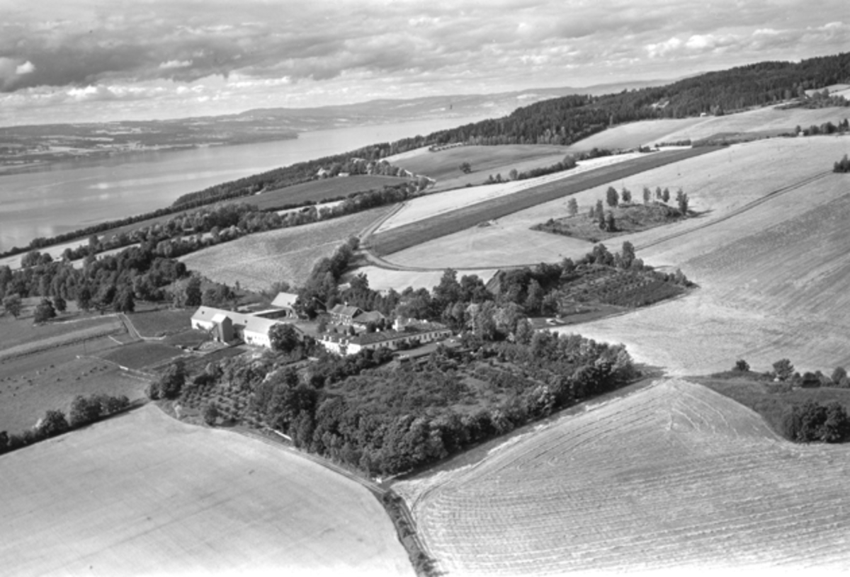 Flyfoto, gardsbruk, Hovinsholm, Helgøya.
