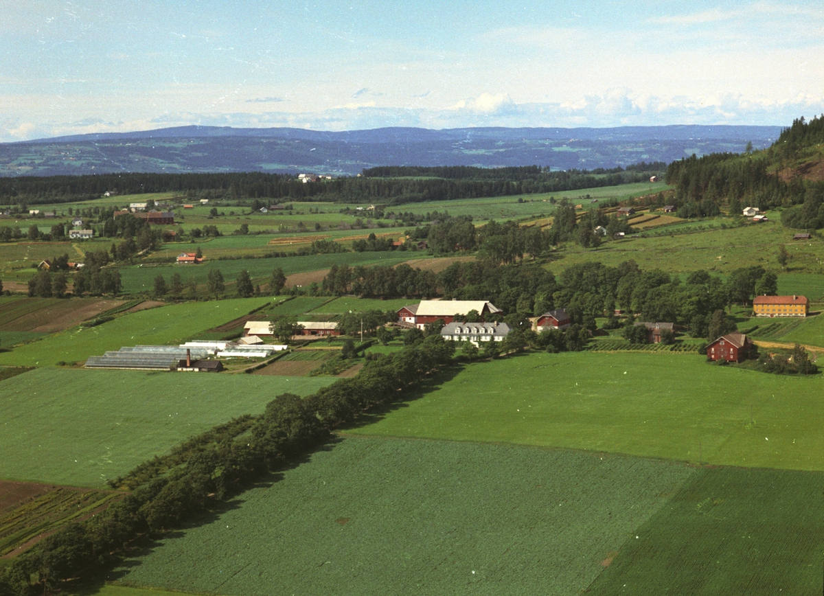 Flyfoto, gardsbruk, gartneri, Grefsheim, Nes, Hedmark.