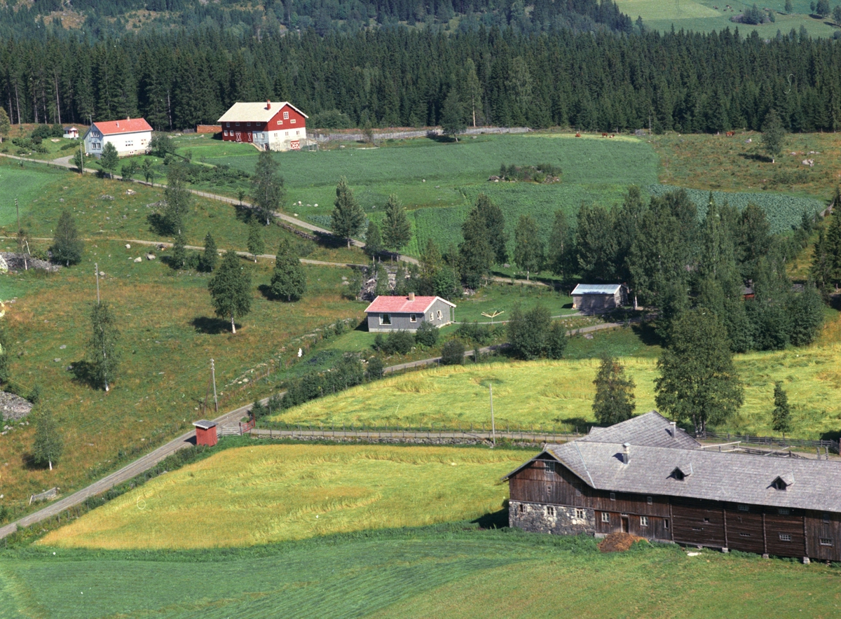 Flyfoto, Haugtun, Åsmarka, Ringsaker.
