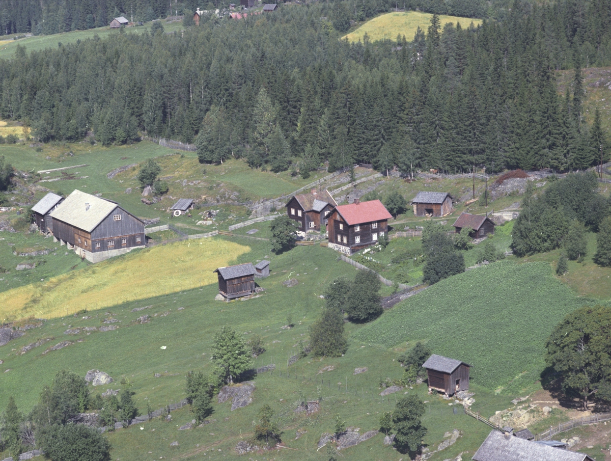 Flyfoto, Nordre Jørgensborg  445.1, Lismarka, Ringsaker.