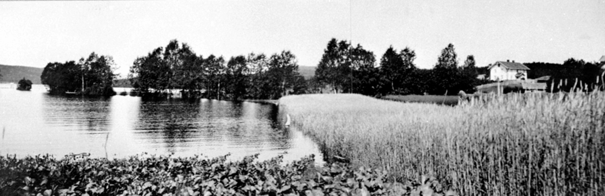 Flommen i Mjøsa, 1927, Granerudstranda, Brumunddal.